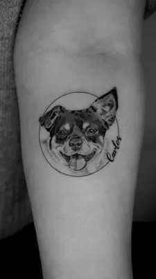 a dog in a circle tattoo on the side of the thigh at Kintin Tattoo Hostel in Jardin