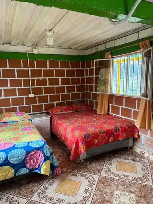 a bedroom with two beds and a brick wall at Coffee Tour, Colombia Aranzazu Caldas- Andean Motmot coffee in Aranzazu