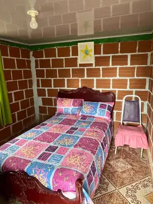 a bedroom with a bed and a chair at Coffee Tour, Colombia Aranzazu Caldas- Andean Motmot coffee in Aranzazu