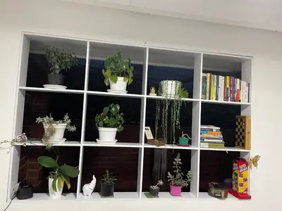 a white book shelf with potted plants on it at Hermosa Casa vía al nevado, termales del otoño, cerca al bosque complejo deportivo y clínica, sector san Marcel in Manizales