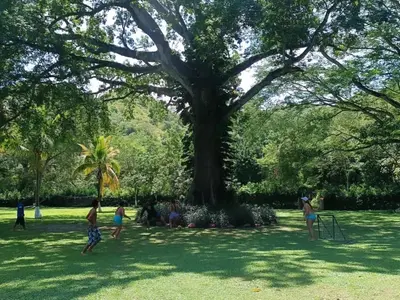 a group of people playing in a park under a tree at hosteria y camping piedras verdes in Sopetran