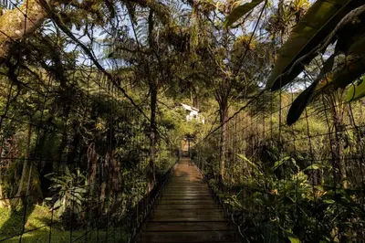 a path through a forest with trees and a fence at Casa Calandria - Vive Jardin in Jardin