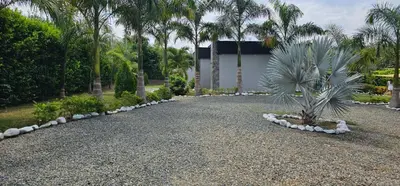 a gravel driveway with palm trees and a building at Luxury Estate with Private Pool & Jacuzzi in Sopetran