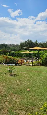 a gazebo in the middle of a grass field at Luxury Estate with Private Pool & Jacuzzi in Sopetran