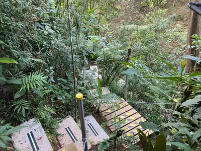 a wooden walkway in a forest with plants at Luxury Cabin in the Forest in El Retiro