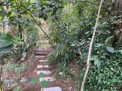 a stone path in the middle of a forest at Luxury Cabin in the Forest in El Retiro