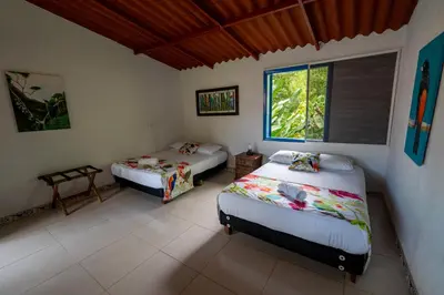 a bedroom with two beds and a window at Tinamú Birding and Nature Lodge in Manizales