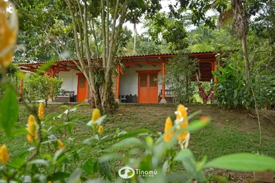 a house in the woods with orange doors at Tinamú Birding and Nature Lodge in Manizales
