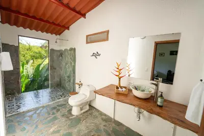 a bathroom with a toilet and a sink and a shower at Tinamú Birding and Nature Lodge in Manizales