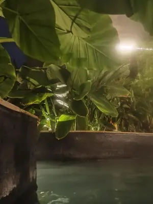 Gallery image of Hostal Ninfa del Mar in Manizales