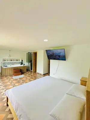 a bedroom with a large bed and a tv on the wall at La camelia in Jardin