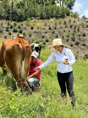 a woman is petting a cow in a field at Andean Mot Mot Coffee - Puerto Asís Farm in Aranzazu