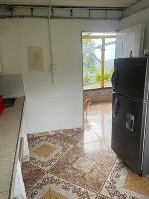 a kitchen with a refrigerator and a dog looking out the door at Andean Mot Mot Coffee - Puerto Asís Farm in Aranzazu