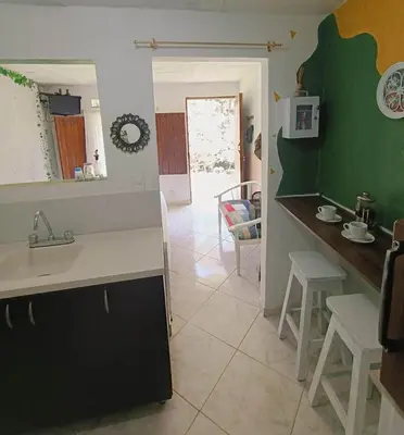 a kitchen and living room with a sink and a counter at Apartamento en concepción entorno natural in Concepción