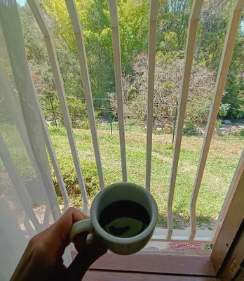 a person holding a coffee cup in front of a window at Apartamento en concepción entorno natural in Concepción
