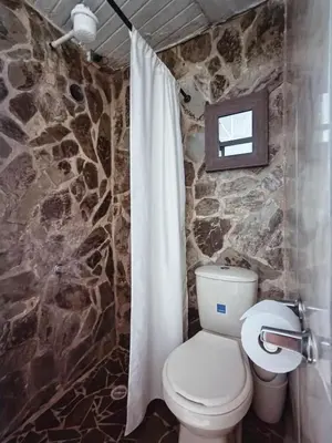 a stone bathroom with a toilet and a shower curtain at Apartamento en concepción entorno natural in Concepción