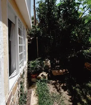 a window of a house with plants next to it at Moderno y acogedor departamento in Concepción