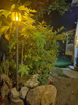 a light in a garden with rocks and plants at Moderno y acogedor departamento in Concepción