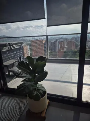 a potted plant sitting on a table in front of a window at Laureles 11th Floor, Jacuzzi and AC in Medellín