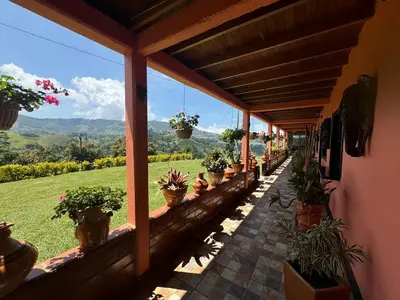 a porch with potted plants on the side of a house at Countryside house with jacuzzi and Sauna in Jericó