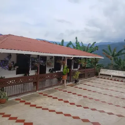 finca nalu