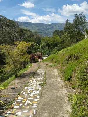 a road with rocks on the side of a hill at ENTRE LOMAS GLAMPING - Finca el Reposo in Girardota