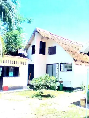 a white house with a palm tree in front of it at cabaña in Honda