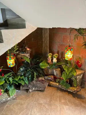 a living room with a fireplace with plants and lights at Hermosa Casa Familiar in Santa Fe de Antioquia