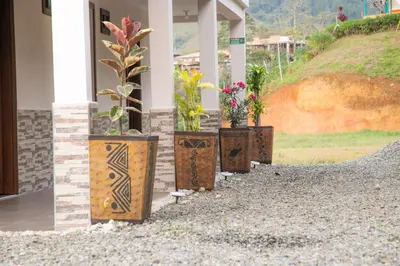 a row of potted plants on the side of a house at habitación campestre para pareja JAZMIN in Jardin