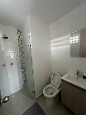 a bathroom with a toilet and a shower and a sink at céntrico y acogedor apartamento in Sabaneta