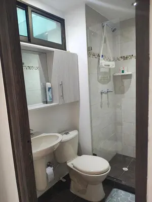 a bathroom with a toilet and a sink and a shower at Apto 2 zona rosa sector la 70 estadio in Medellín