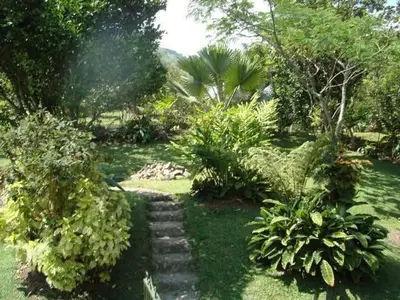 a garden with a stone path in the grass at FINCA ARCANOS CELESTe in Barbosa