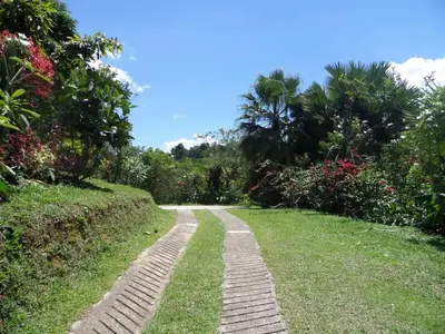 a path in a park with grass and trees at FINCA ARCANOS CELESTe in Barbosa