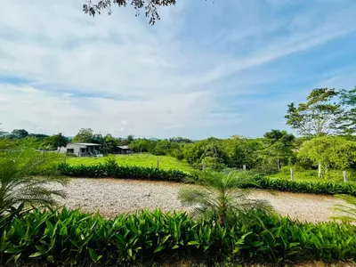 a field with trees and a house in the distance at Finca Campestre El Patujo in Doradal