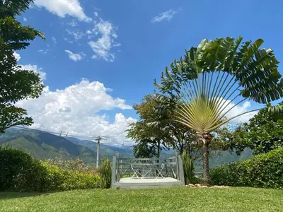 a bed in a field with a palm tree at Finca La Mediterránea en San Jerónimo in San Jerónimo