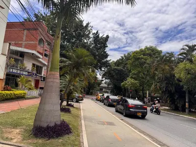 a palm tree on the side of a street at Nice place to stay in Medellín