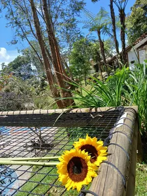 a sunflower is sitting on a fence at Oru Forest Retreat & Eco Lodge, just 15 minutes from the airport in Envigado