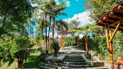 a set of stairs in a garden with palm trees at Oru Forest Retreat & Eco Lodge, just 15 minutes from the airport in Envigado