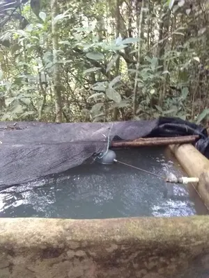 a stream of water hooked up to a boat in a forest at Glamping Resort Jonico Finca in Chinchiná