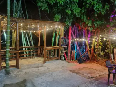 a group of surfboards on a wall with lights at Los micos in San Rafael