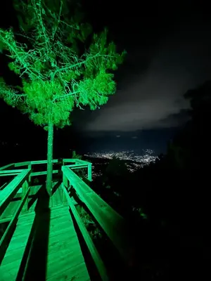 a tree sitting on top of a wooden structure at Glamping, Jacuzzi, Malla Catamarán y Desayuno en Santa Elena in Medellín