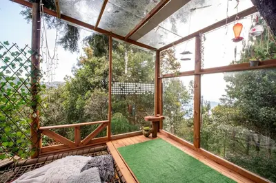 a room with a large window and a green rug at Cabaña in Medellín