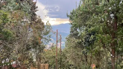 a forest of trees with mountains in the distance at Cabaña in Medellín