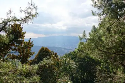 a view of a valley from a mountain with trees at Cabaña in Medellín