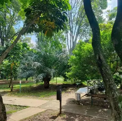 a park with a bench and some trees at Jungle House Medellin in Medellín