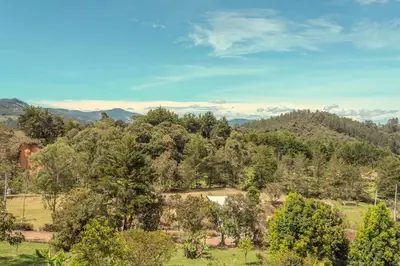 an aerial view of a field with trees at Vista Bonita - Hacienda Guatape in Guatapé