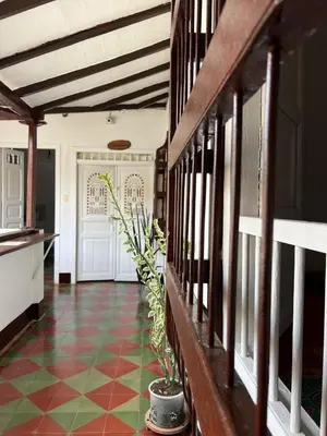 a hallway with a potted plant on the floor at Famihotel Asturias in Hispania