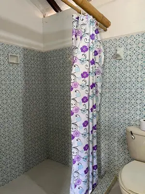 a bathroom with a toilet and a shower curtain at Famihotel Asturias in Hispania