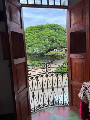 an open door to a balcony with a view of a park at Famihotel Asturias in Hispania
