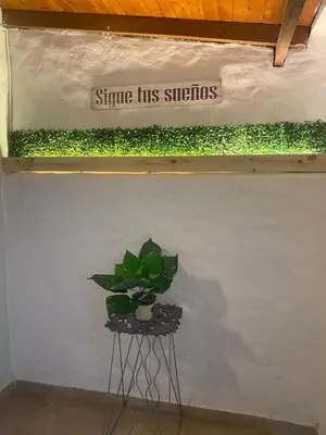 a plant sitting on a stand next to a sign at Apartamento cerca al aeropuerto Olaya herrera in Medellín